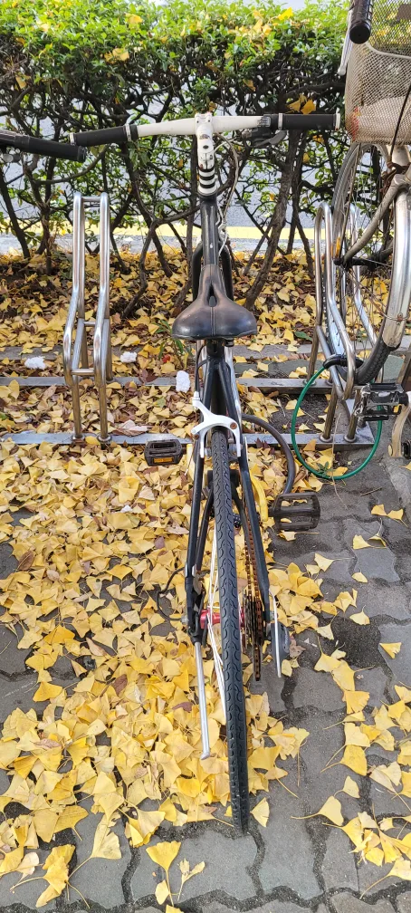 아팔란치아 중고 자전거 판매