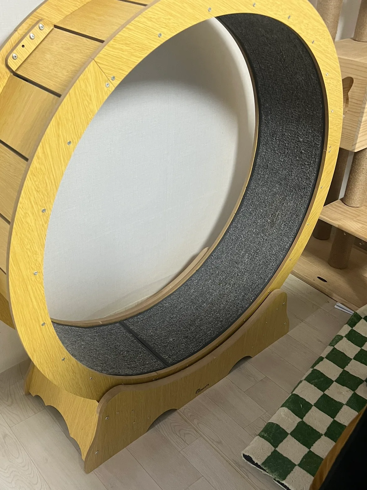 캣휠 중고 물품 팜