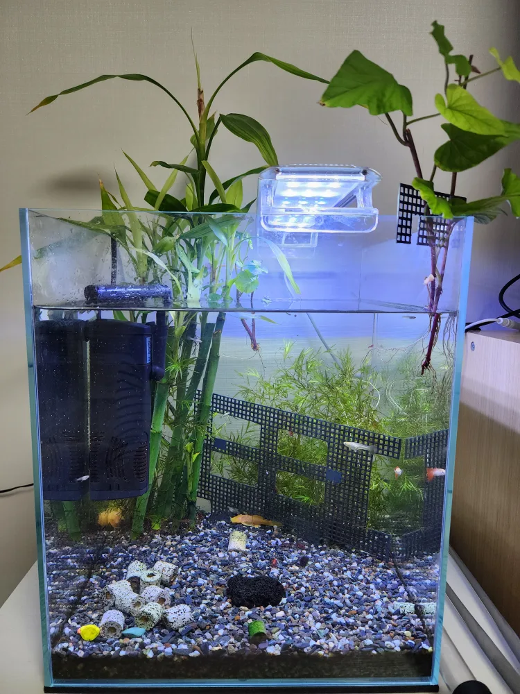 어항 외 조명포함 어항용품