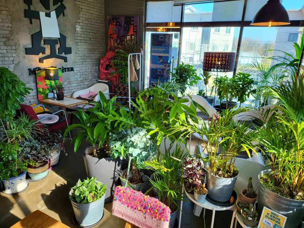 식물정리 3000원~10000원