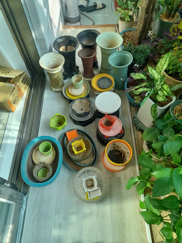 안쓰는 중고 화분과 화분 받침 나눔