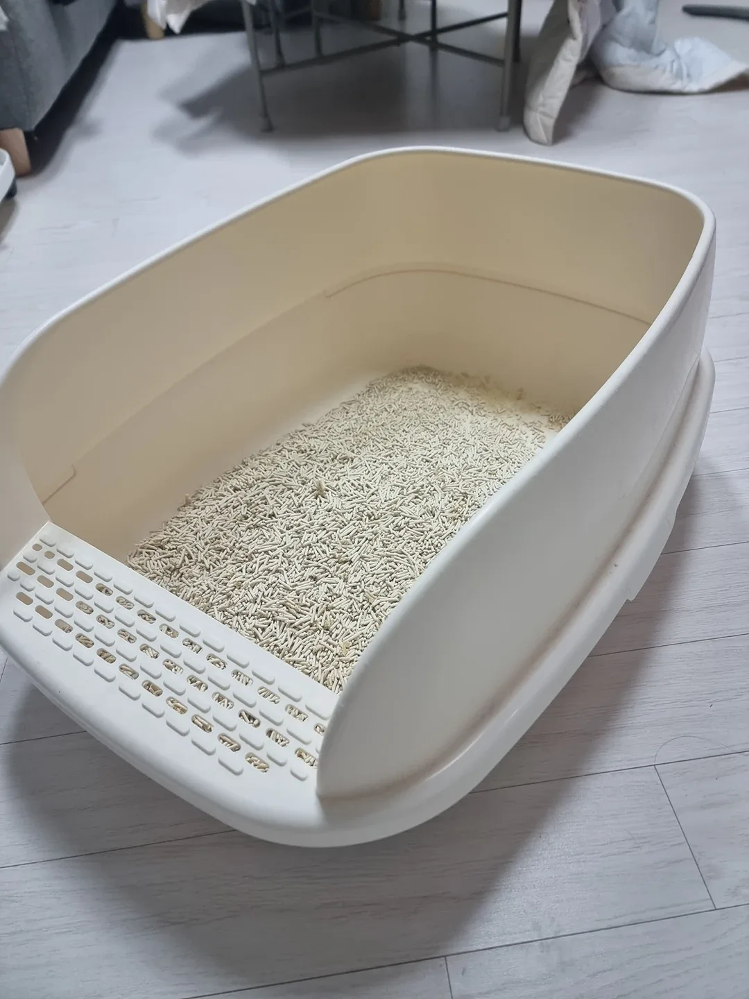 고양이 화장실 나눔