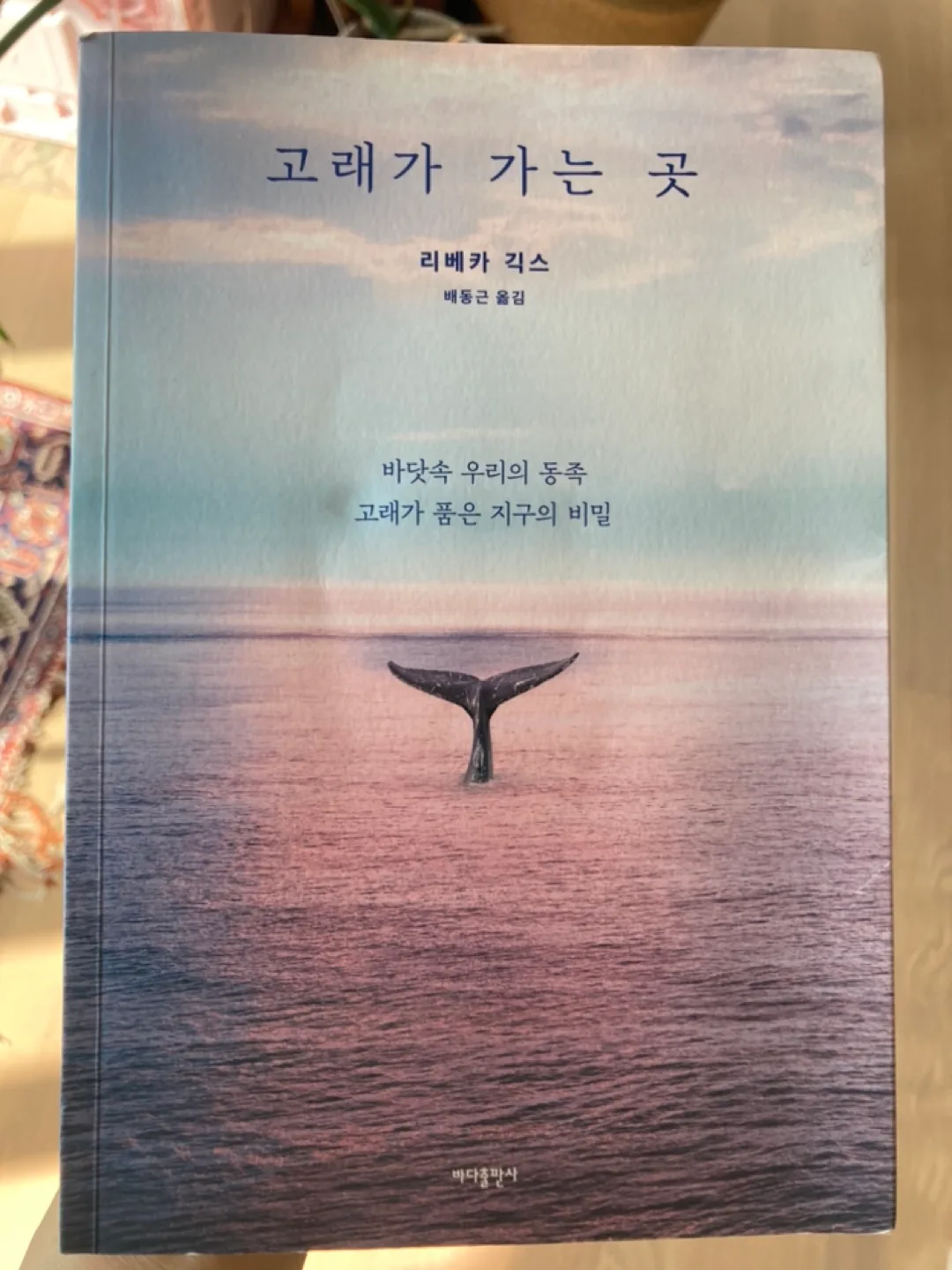 중고책 고래가 가는 곳