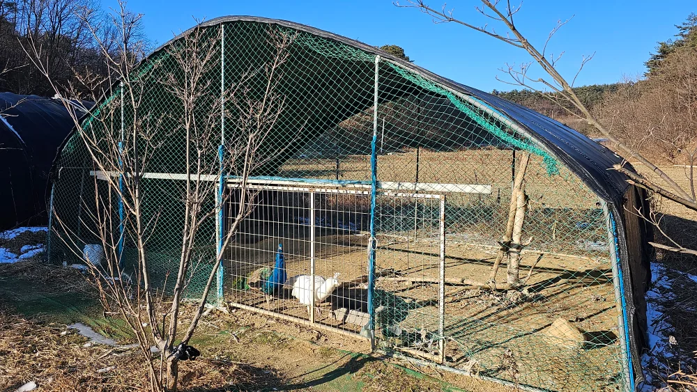 비닐하우스 중고 판매