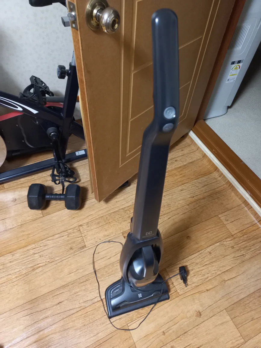 일렉트로룩스 Well Q6 무선청소기 WQ61-1OGG 중고