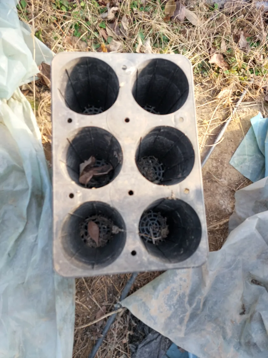 하우스 패 자제 판매