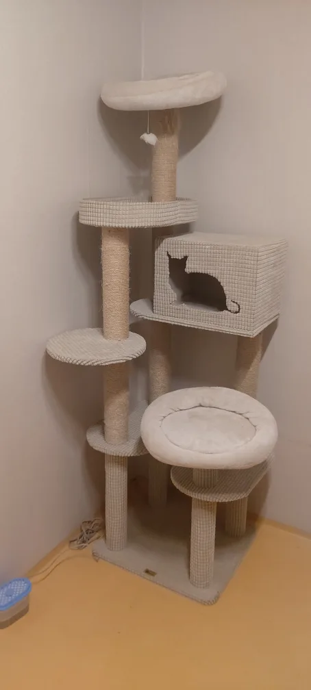 고양이 캣타워 중고품 판매합니다