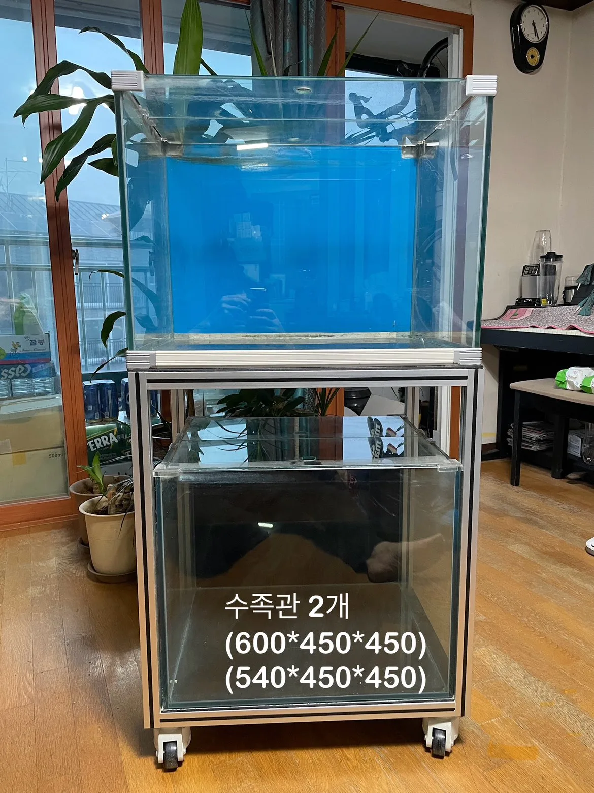 중고 어항 2개