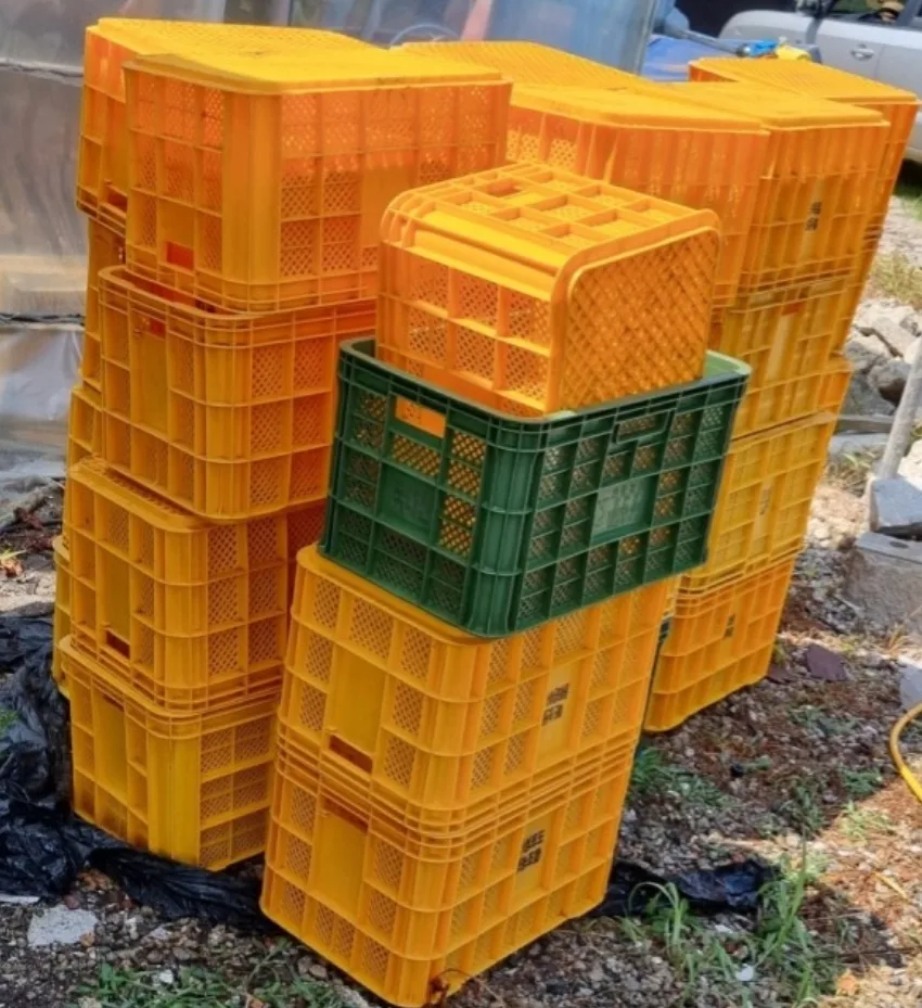 콘티박스중고판매개당3000