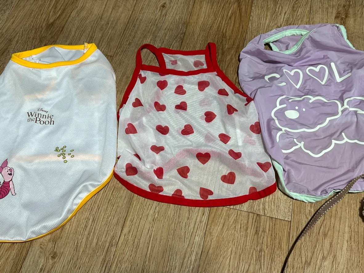 (중고/일괄)강아지 옷 L~XL