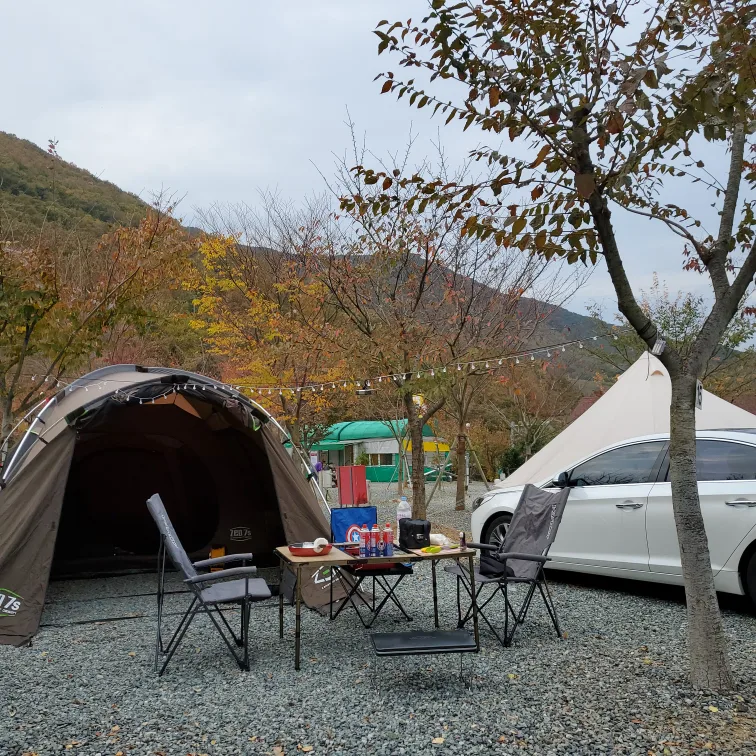 텐트 필요하신분 가져가세요