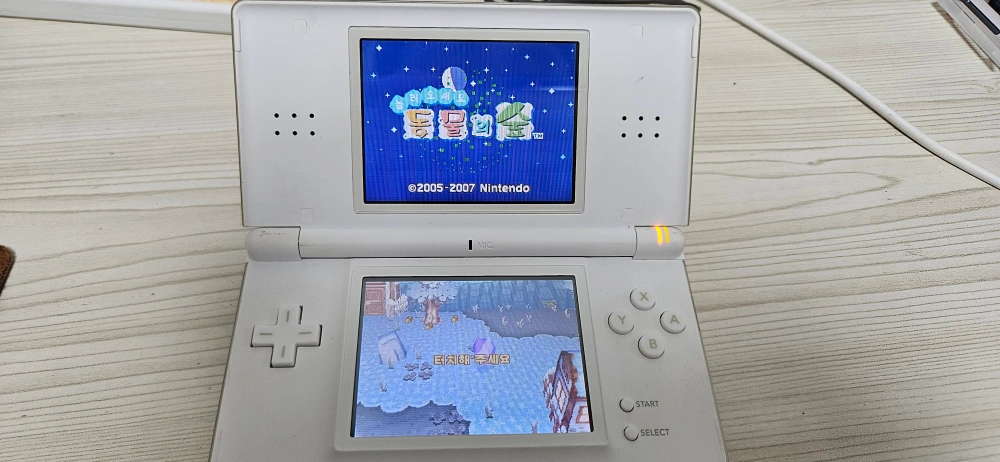 닌텐도 DS lite+동물의 숲 정품칩 + 마법천자문 칩+충전기 | 풍동 | 취미/게임/음반 | 당근 중고거래