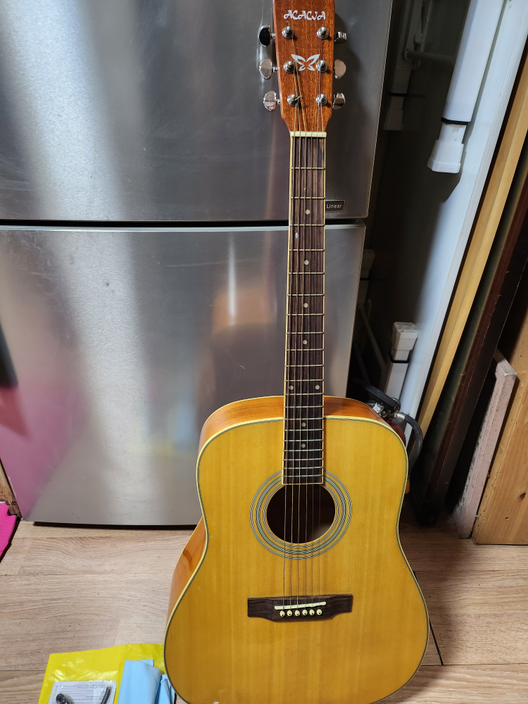 기타 + Capo 외 | 당근 중고거래