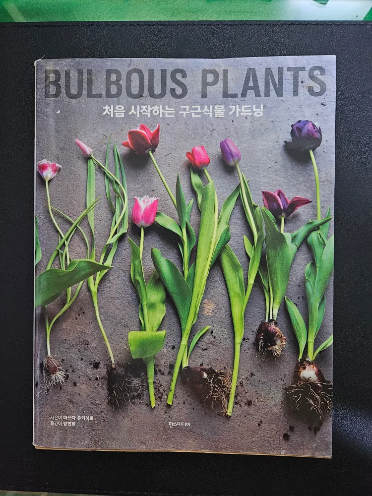 중고도서 '처음 시작하는 구근식물 가드닝'