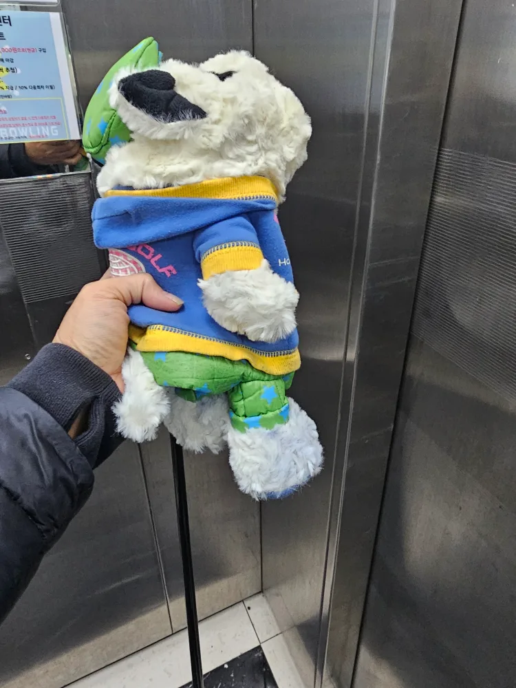 중고여자드라이브채