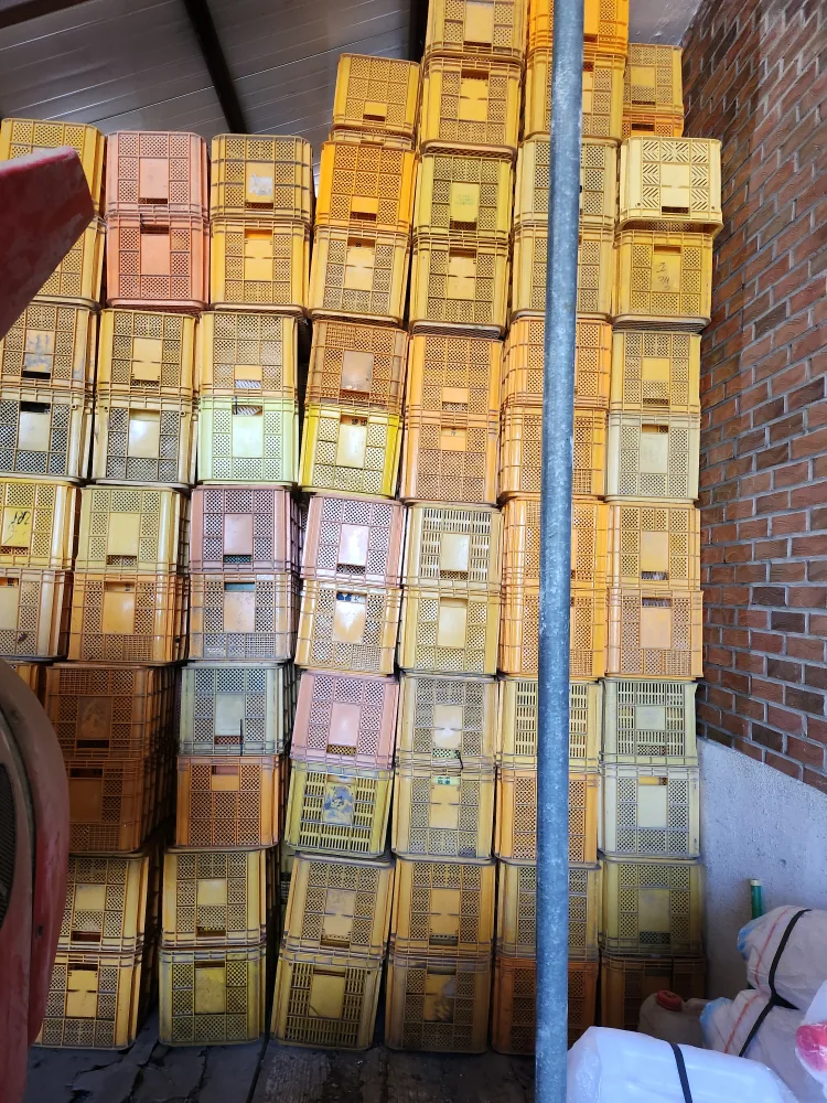 배수확 박스 중고 팝니다