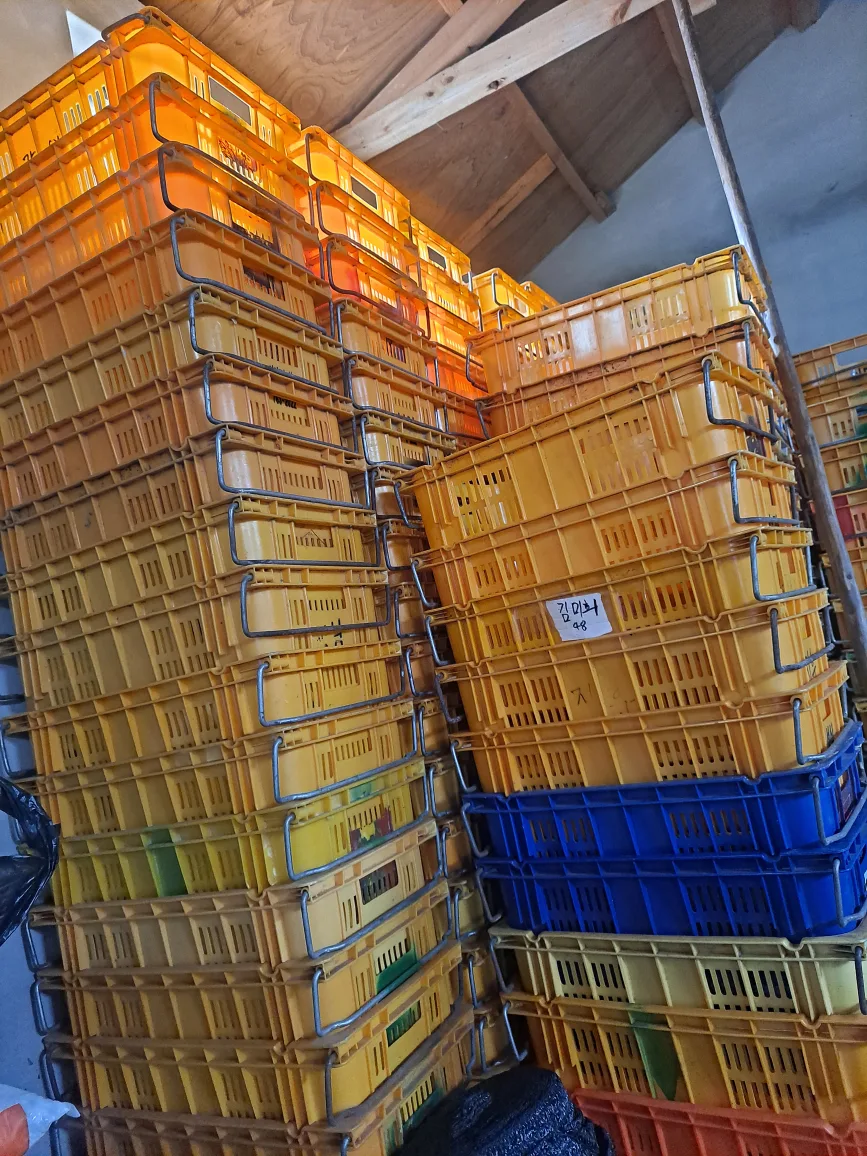 쓰던것중고 콘테나3000원