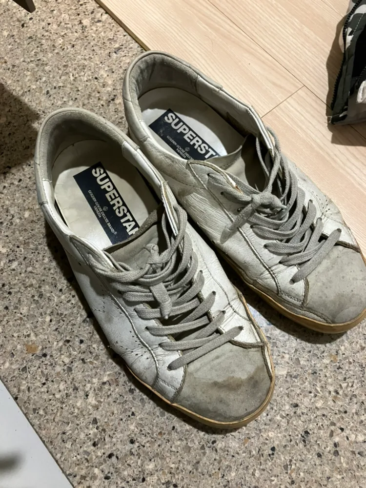 골근구스260