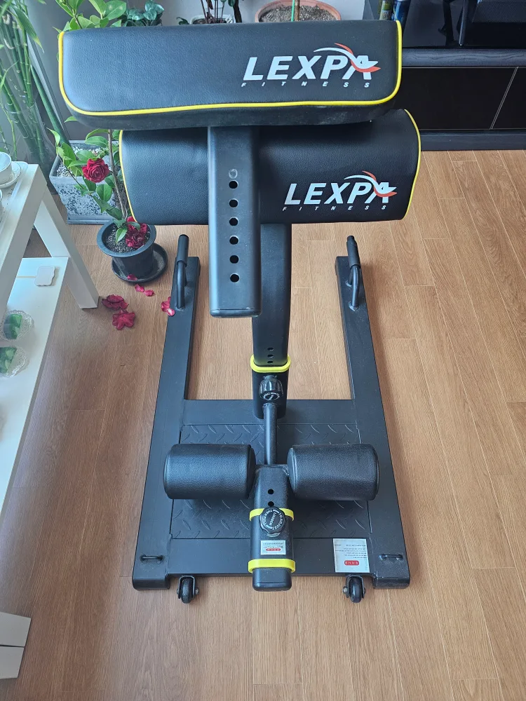 Lexpa스쿼드 중고