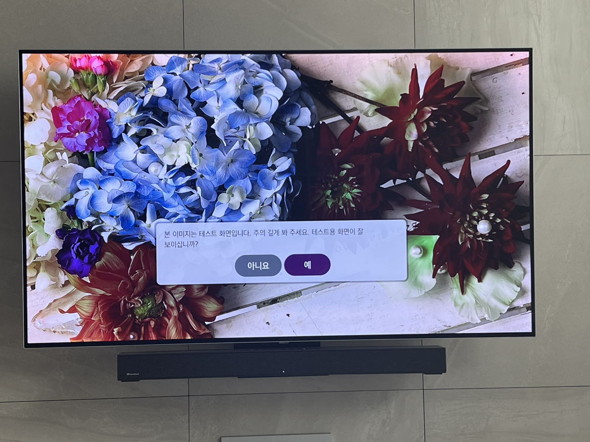 엘지 올레드55인치 당근 중고거래