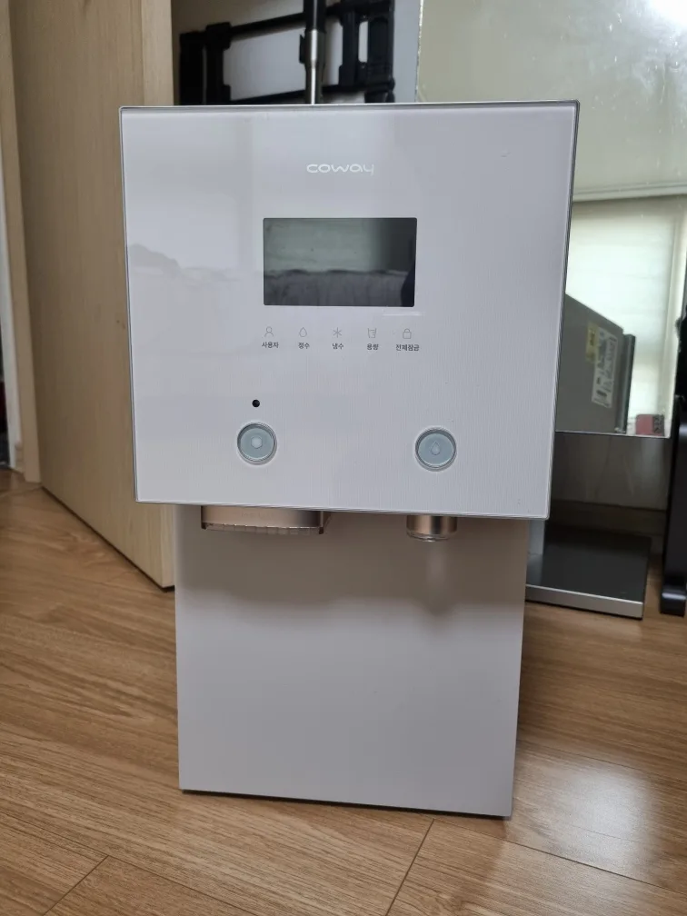 웅진 코웨이 얼음 정수기