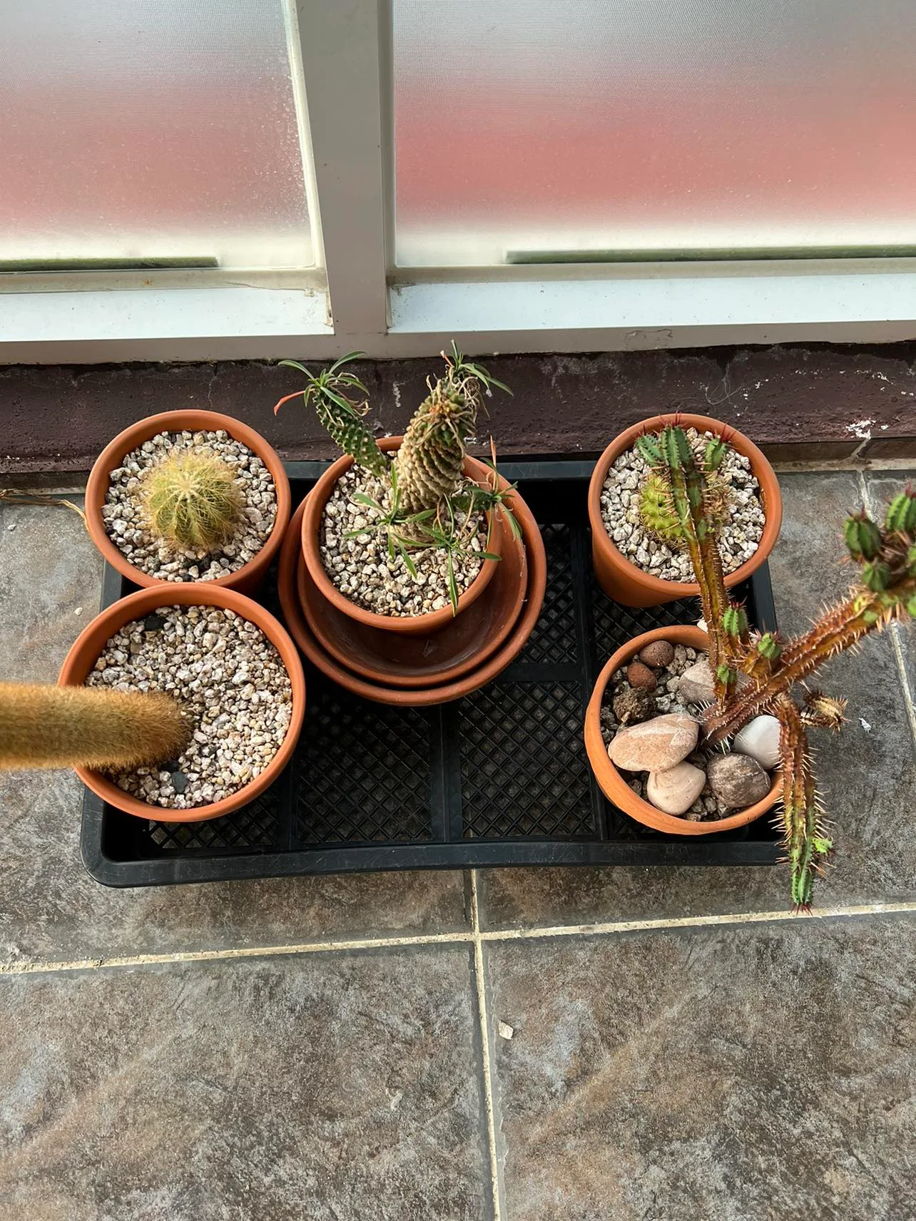 중고 토분(세트)