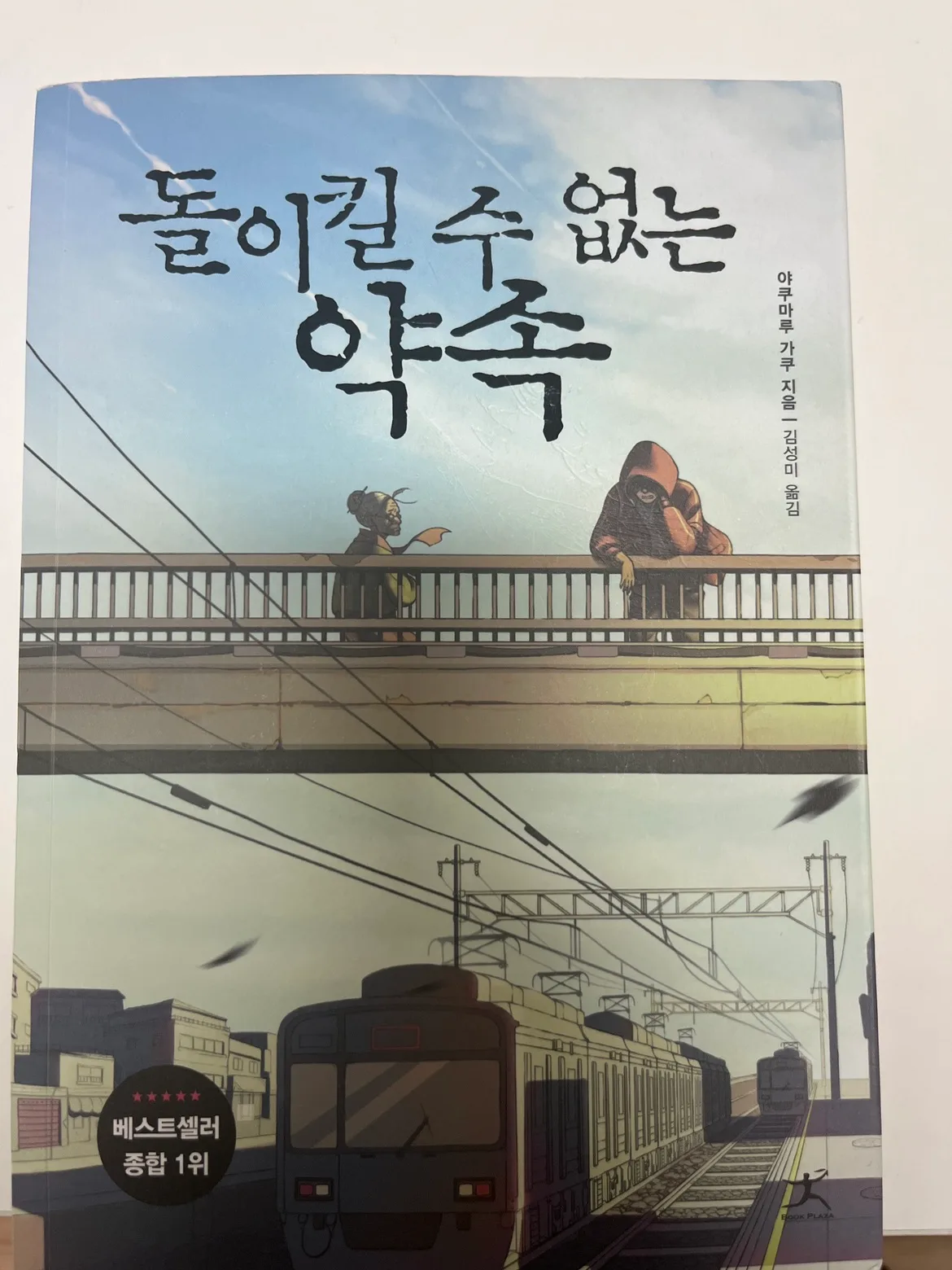 돌이킬 수 없는 약속 책 판매합니다