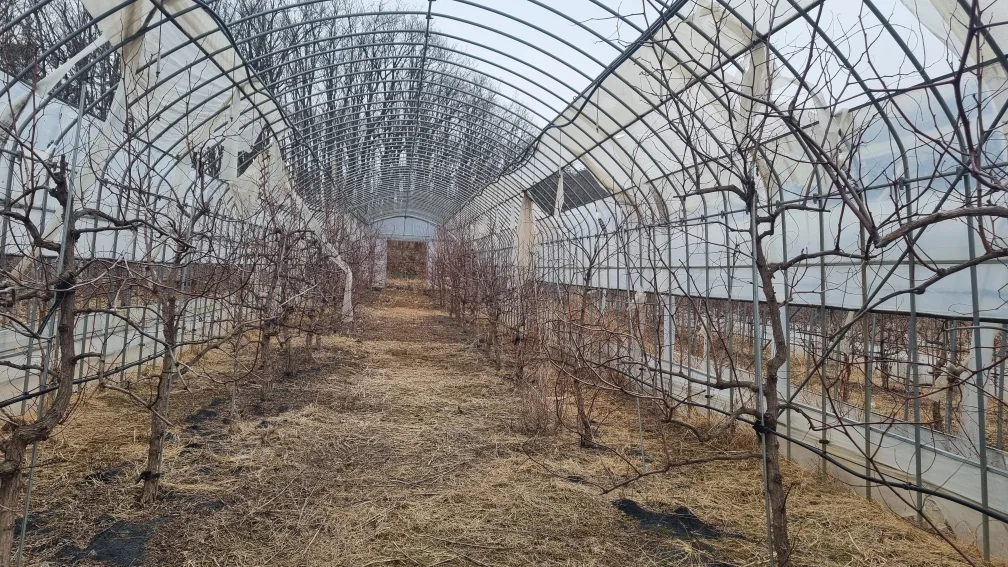 중고비닐하우스 파이프