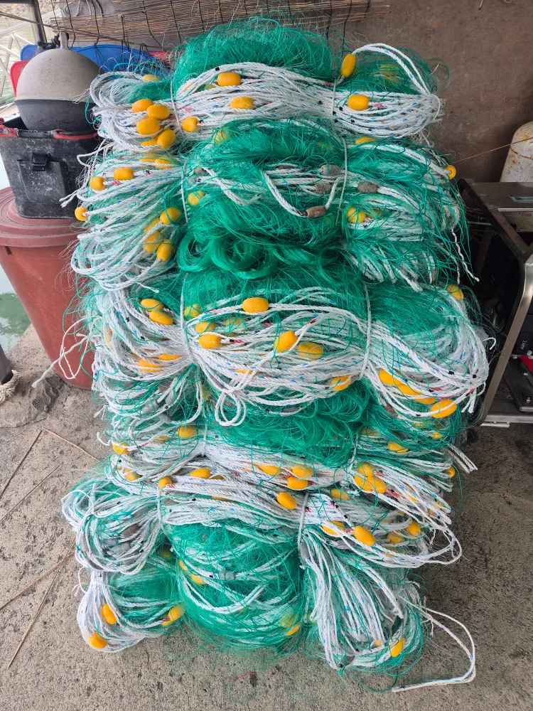 갑오징어 완제품 자망 팝니다