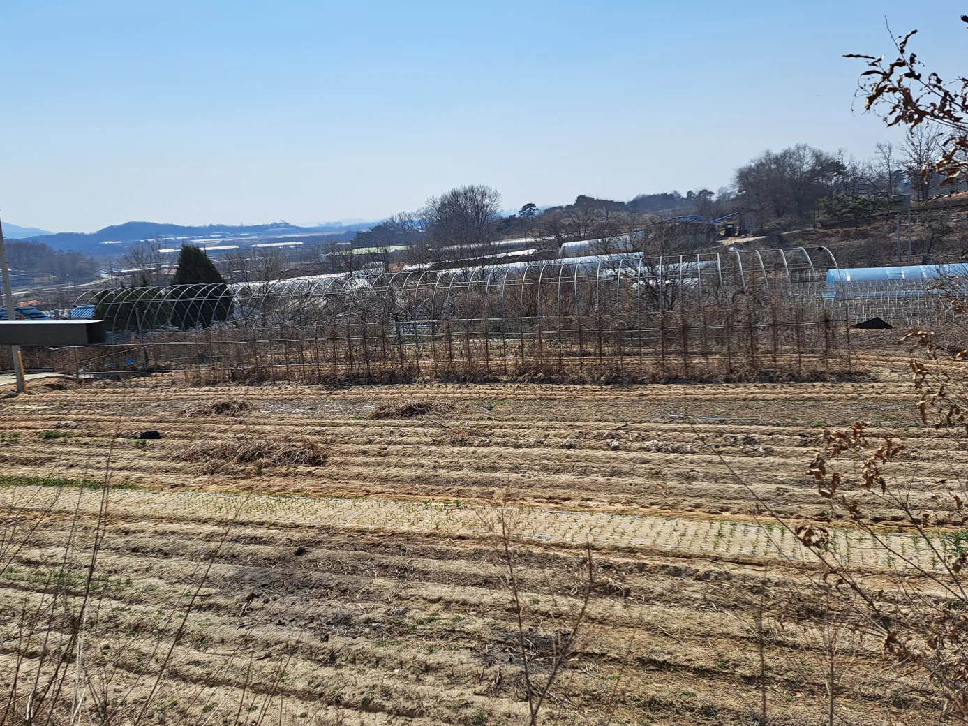 중고하우스파이프판매35m총50개