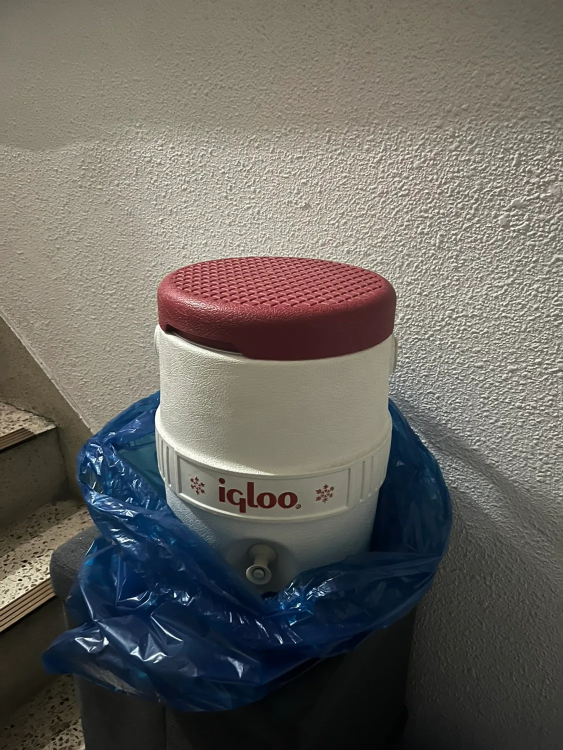 아이스박스 물통 나눔