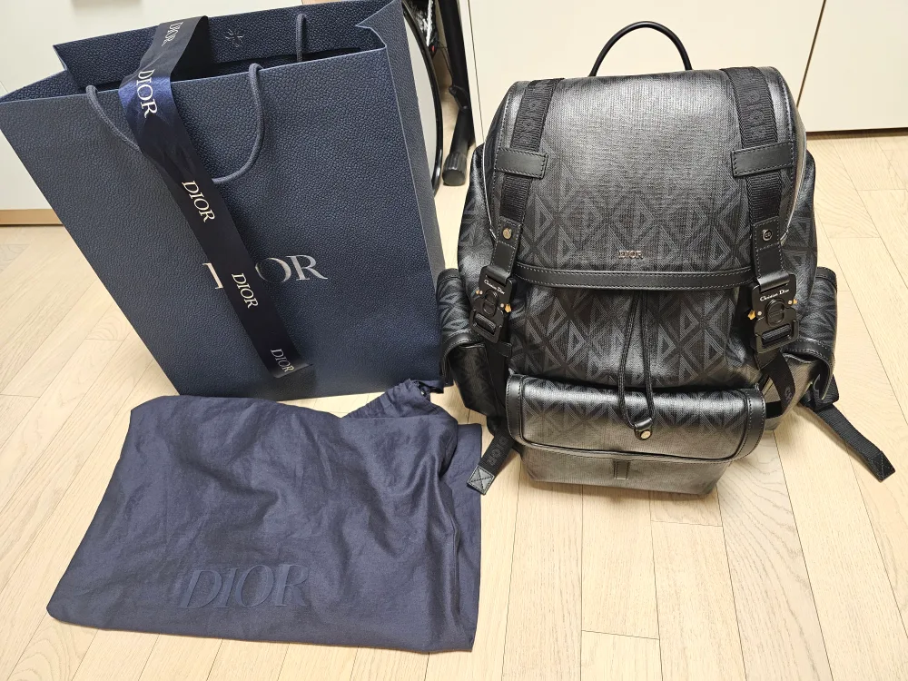 디올 백팩(Hit the road Large)