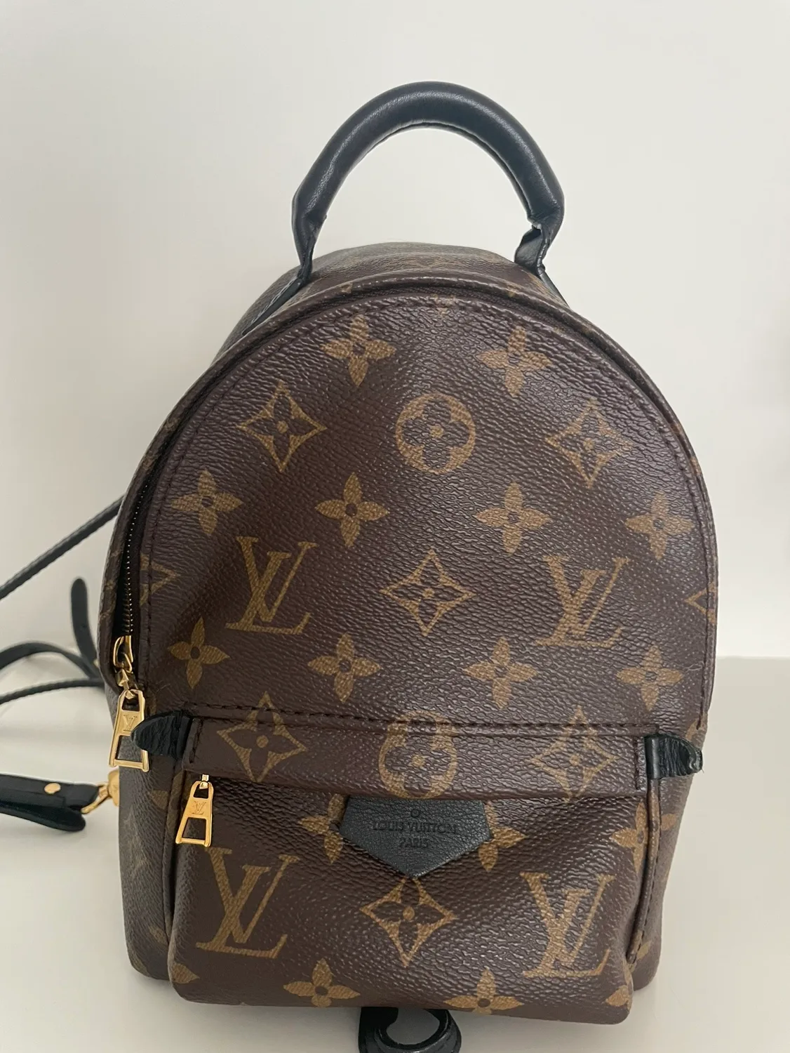 루이비통 백팩 팜스프링 미니