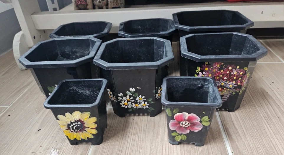 다육 사각 분 중고 몽땅