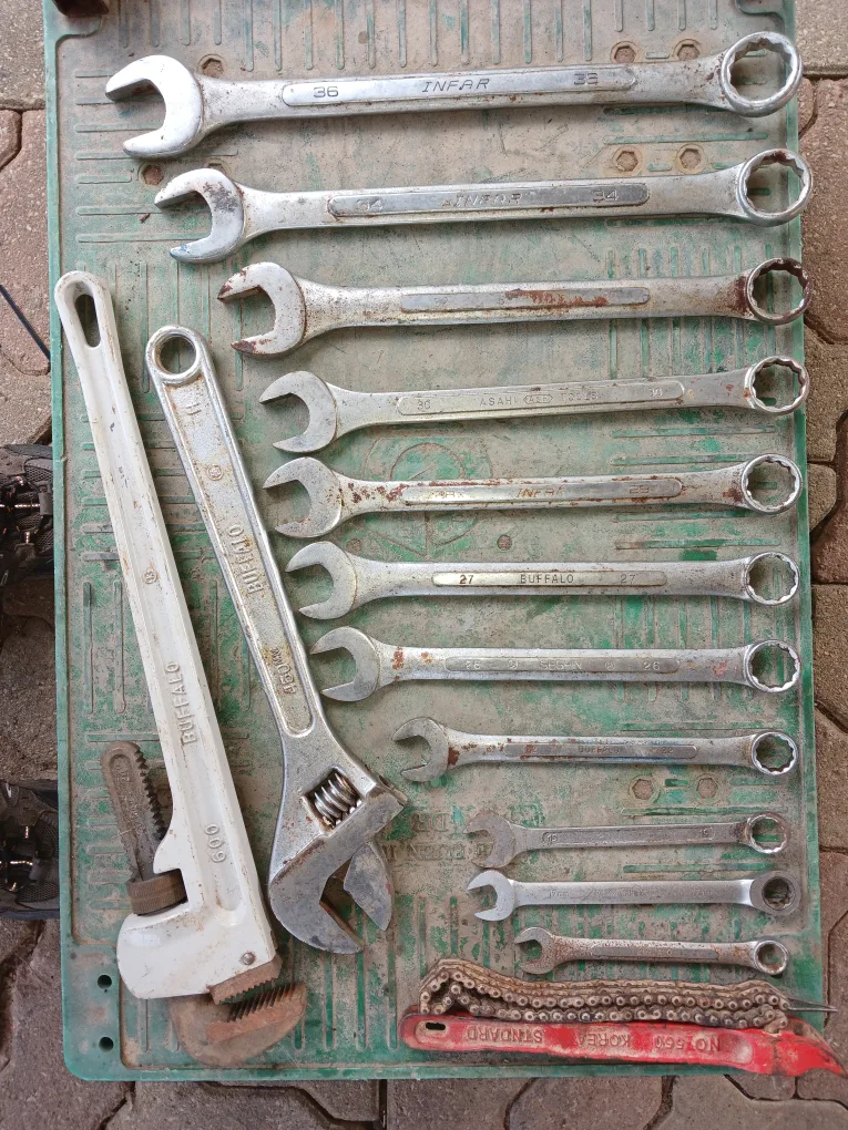 대형 메가네 몽기  ㆍㆍ