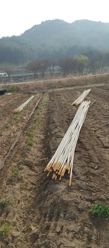 중고 하우스 파이프25미리10미터