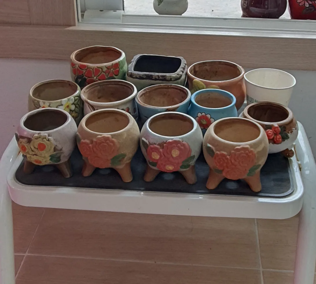 중고다육이화분