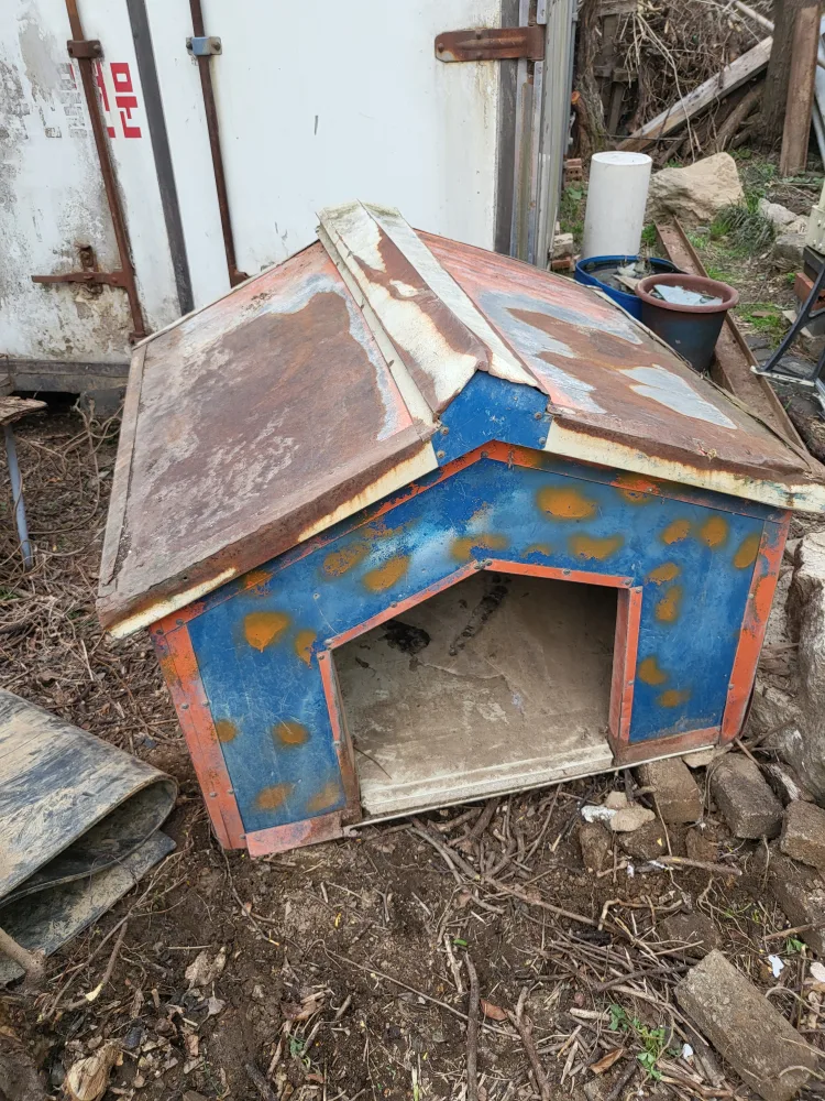 대형견 집(중고)