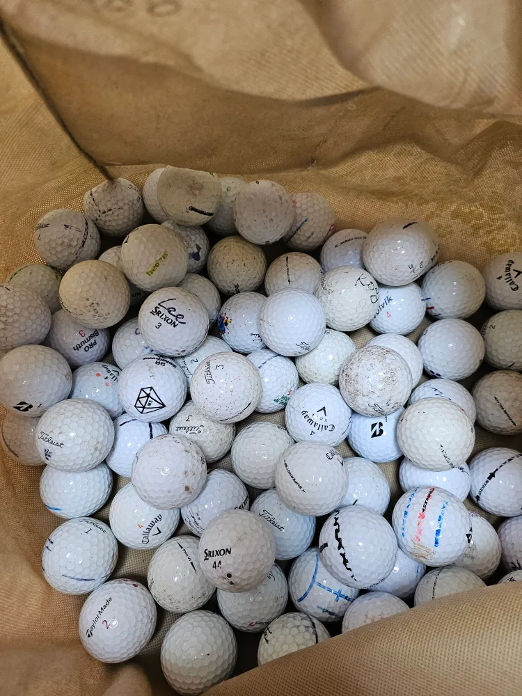 중고 골프공 개당 500원 90개 팔아요.