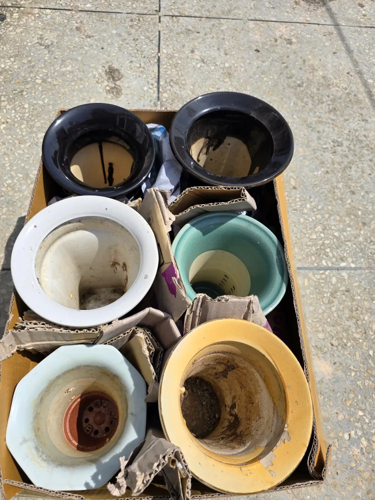 난 화분 중고 급처 팝니다