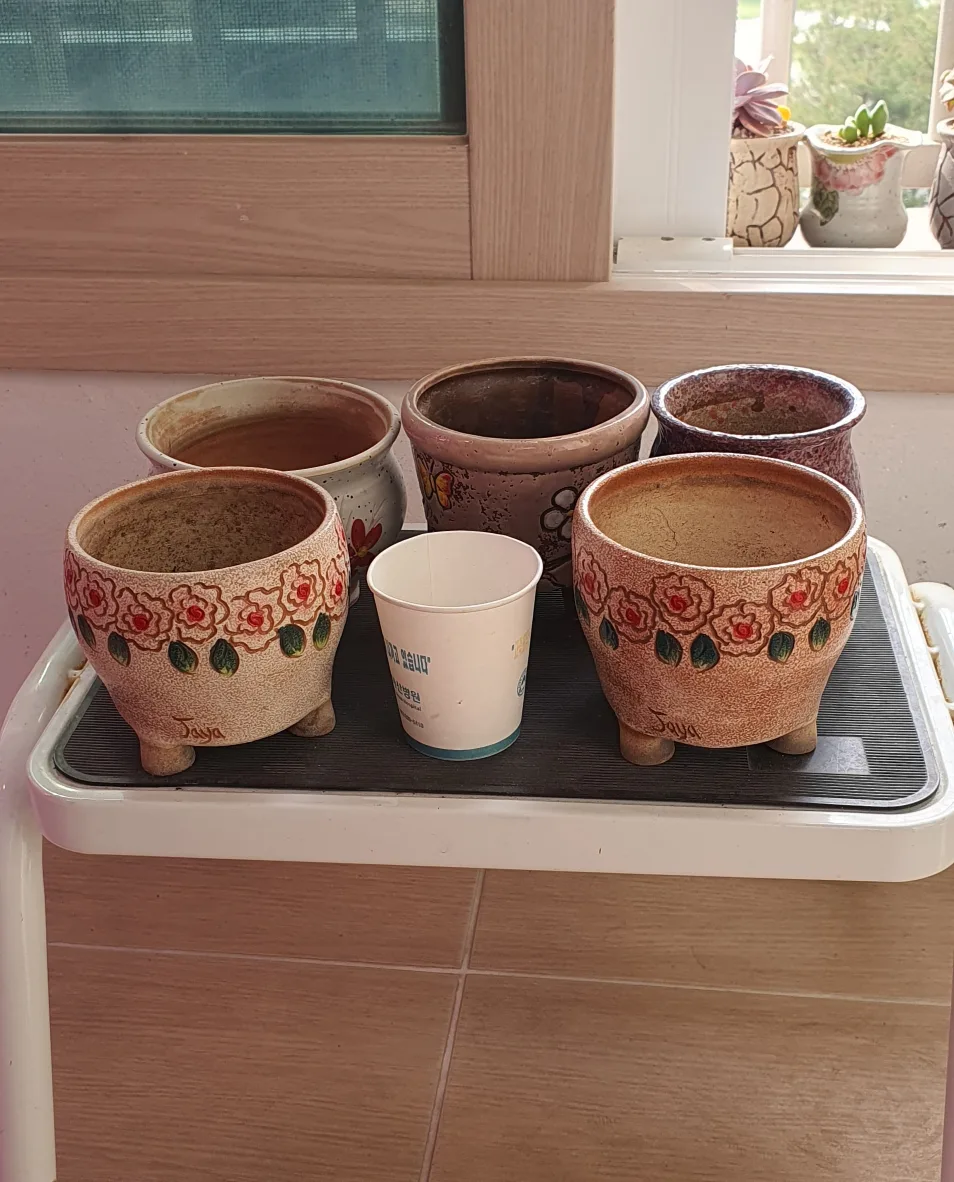 중고다육이화분