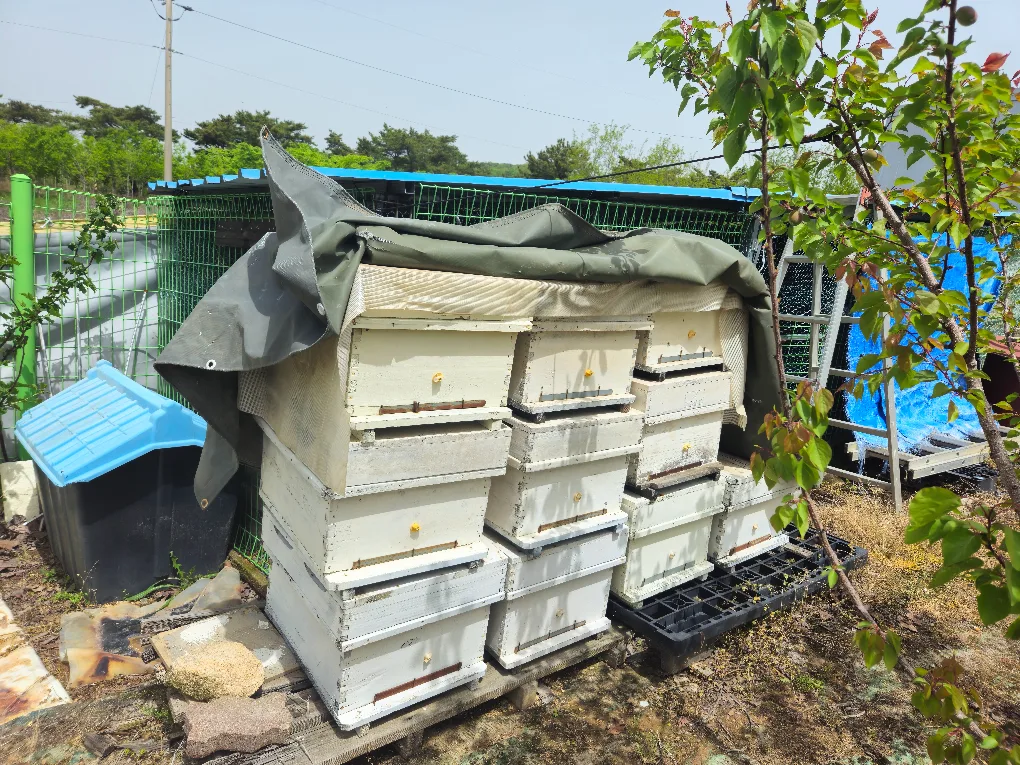 중고양봉자재판매