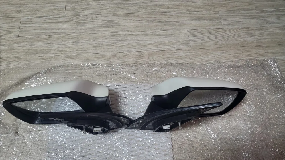 그랜드카니발 사이드밀러