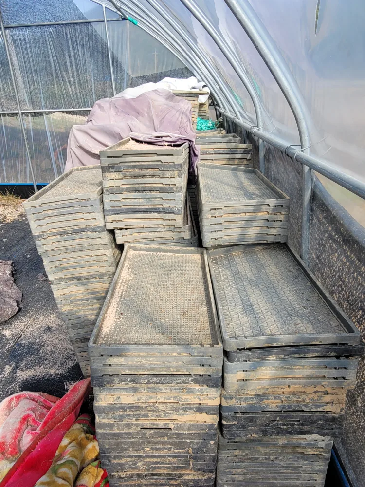 중고모판정리합니다