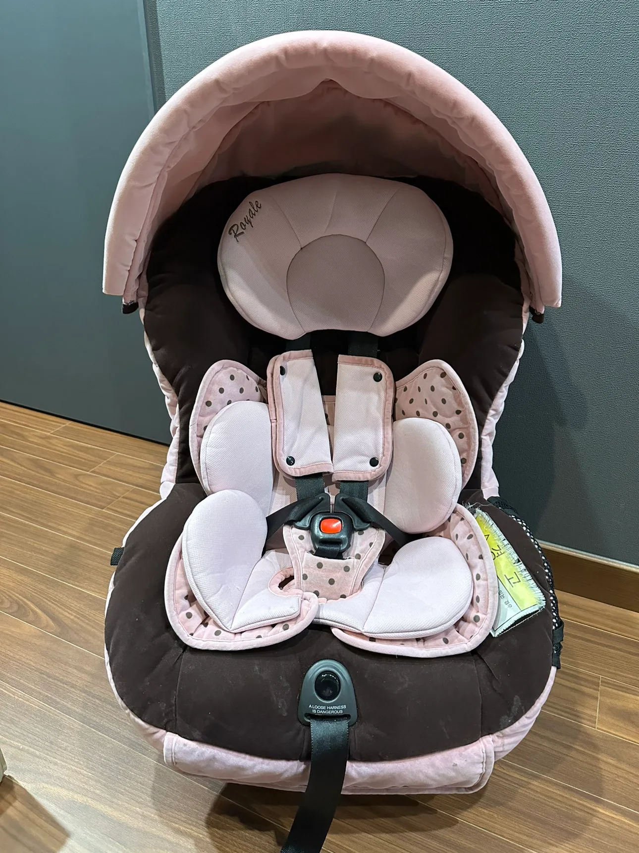 브라이텍스 로얄 카시트 나눔합니다