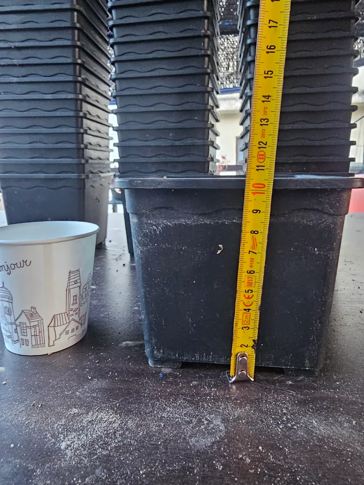 플라스틱 화분 급처