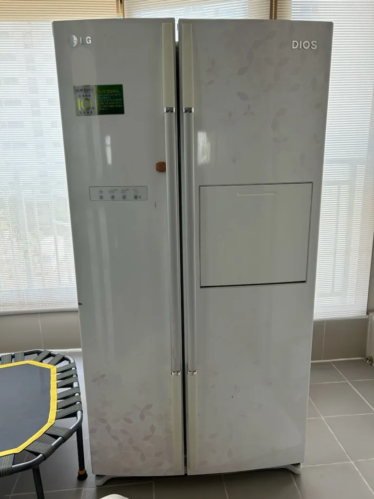엘지 디오스 양문형 냉장고