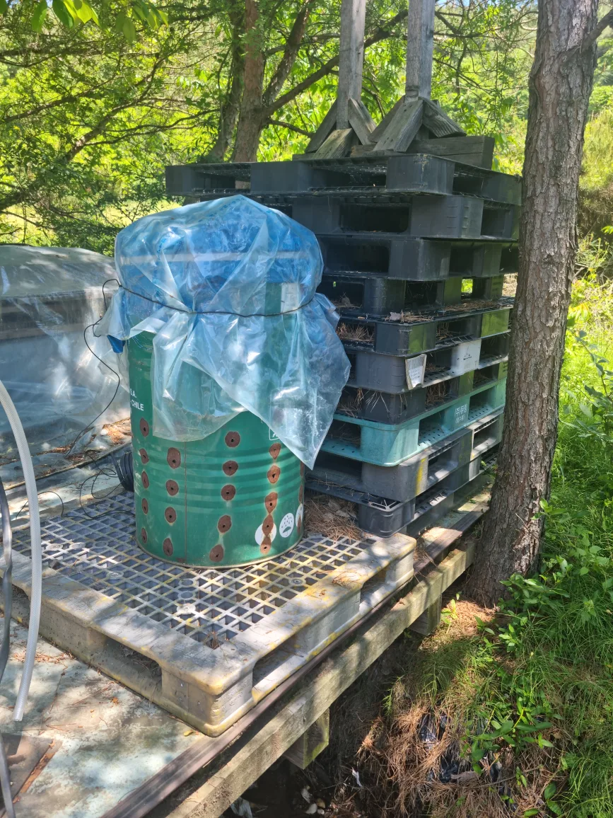 중고프라스틱파레트