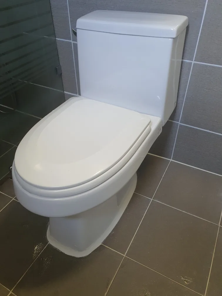 대림 도비도스 양변기 중고