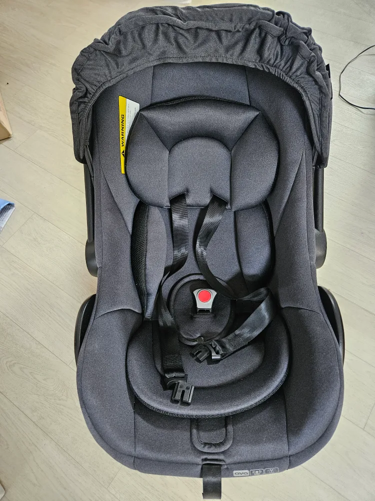 페도라 바구니카시트